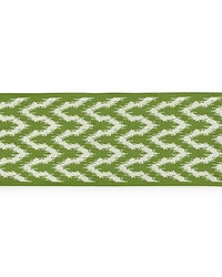 Seychelles Tape Palm by  Scalamandre Trim 