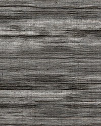 Strie Sisal Tawny Silver by  Scalamandre Wallcoverings 