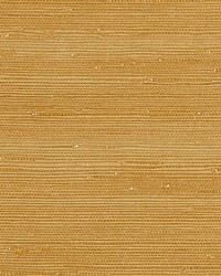 Textured Sisal Saffron by  Catania Silks 