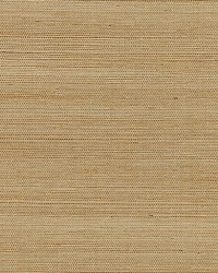 Shantung Grasscloth Rye by  Scalamandre Wallcoverings 