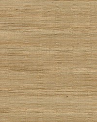 Shantung Grasscloth Rye by  Scalamandre Wallcoverings 