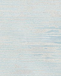 Canyon Mineral by  Scalamandre Wallcoverings 