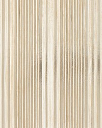 Pacific Stripe Champagne by   