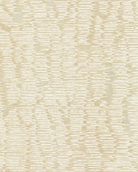 Rainshadow Champagne by  Scalamandre Wallcoverings 