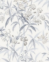 Lanai Silver Mist by  Scalamandre Wallcoverings 