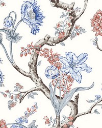 Andrew Jackson Floral Riviera by  Scalamandre Wallcoverings 