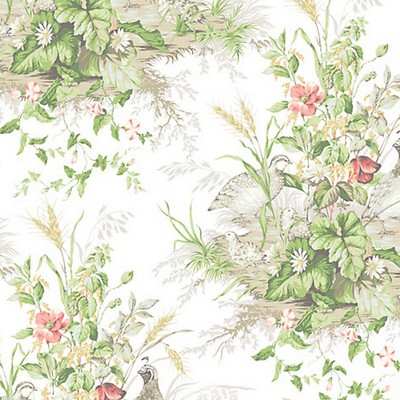 Scalamandre Wallcoverings Edwins Covey Prairie SC 0002WP88434  Animals Bird and Butterfly Wallpapers Traditional Flower Wallpaper Flower Wallpaper 