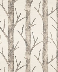 Everett  Silk Bark by  Scalamandre Wallcoverings 