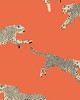 Scalamandre Wallcoverings LEAPING CHEETAH CLEMENTINE