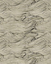 Shikoku Ink Wash by  Scalamandre Wallcoverings 