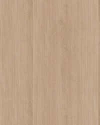 Timbre Pine Wood by  Scalamandre Wallcoverings 
