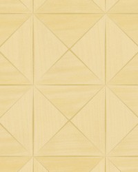 Ballad Golden Birch by  Scalamandre Wallcoverings 