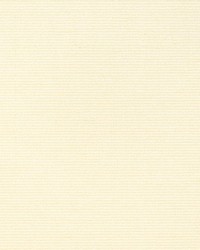 Aditi Plain Wool by  Scalamandre Wallcoverings 