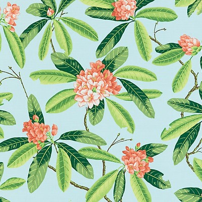 Scalamandre Rhododendron  Outdoor Coral On Aqua COAST TO COAST SC 000316454M Orange Upholstery SOLUTION  Blend Tropical  Floral Outdoor  Classic Tropical  Fabric