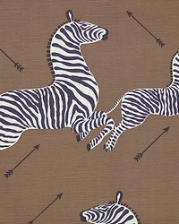 Zebras Safari Brown by   