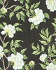 Scalamandre PEONIA LINEN PRINT ONYX