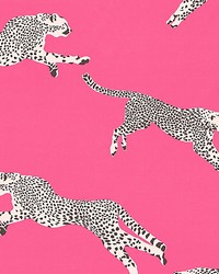 Leaping Cheetah Cotton Print Bubblegum by   