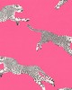 Scalamandre LEAPING CHEETAH COTTON PRINT BUBBLEGUM