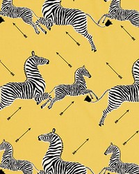Zebras Petite Yellow by   