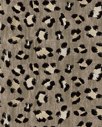 Broderie Leopard Ebony On Silver by   