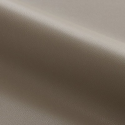 Scalamandre Clark  Outdoor Mink FUNDAMENTALS - CONTRACT SC 000327263 Brown Upholstery SILICONE SILICONE Solid Outdoor  Solid Brown  Fabric