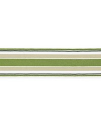 Marina Stripe Tape Palm by  Scalamandre Trim 