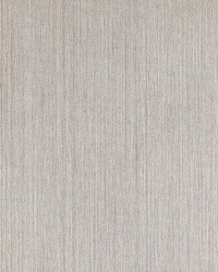 Silk String Pearl Grey by  Scalamandre Wallcoverings 