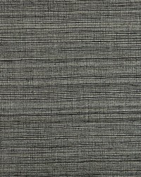 Strie Sisal Graphite by  Scalamandre Wallcoverings 