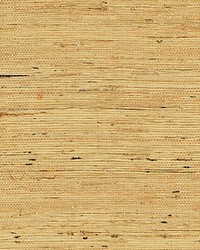 Arrowroot Weave Honey by  Scalamandre Wallcoverings 