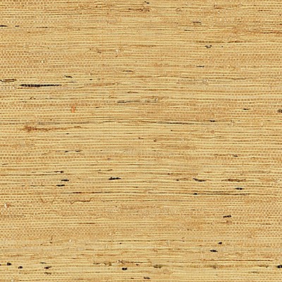 Scalamandre Wallcoverings Arrowroot Weave Honey SC 0003WP88344 Beige 
