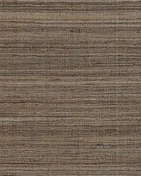Tussah Silk Smoke by  Scalamandre Wallcoverings 