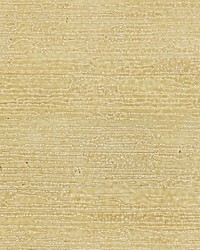 Canyon Gilt by  Scalamandre Wallcoverings 