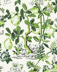 Shantung Garden Verdance by  Scalamandre Wallcoverings 