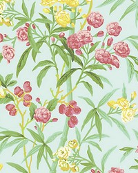 Lanai Passionfruit by  Scalamandre Wallcoverings 