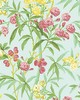 Scalamandre Wallcoverings LANAI PASSIONFRUIT