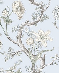 Andrew Jackson Floral Skylight by  Scalamandre Wallcoverings 