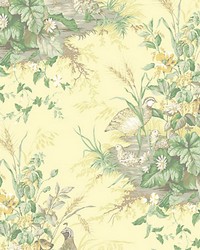 Edwins Covey Sunlit by   