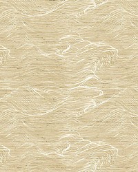 Shikoku Straw by  Scalamandre Wallcoverings 
