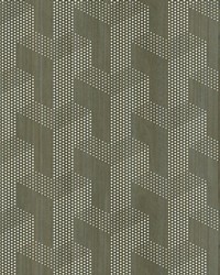 Tenor Dry Sage by  Scalamandre Wallcoverings 
