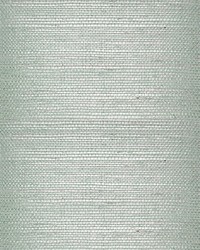 Fret Grasscloth Ground Mineral by  Scalamandre Wallcoverings 
