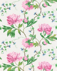 Isadora Wallcovering Petal by  Scalamandre Wallcoverings 
