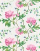 Scalamandre Wallcoverings ISADORA WALLCOVERING PETAL