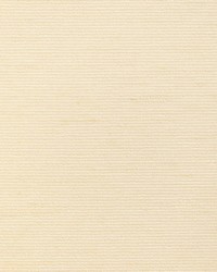 Aditi Plain Champaigne by  Scalamandre Wallcoverings 