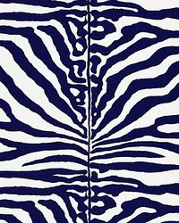 Zebra Navy by   