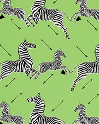 Zebras Petite Lime by   