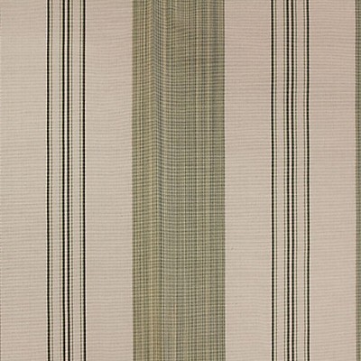 Scalamandre Astor Stripe Celadon BELLE JARDIN COLLECTION SC 000426982 Green Multipurpose SILK;50%  Blend Striped  Fabric