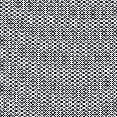 Scalamandre Birds Eye Weave Navy ENDLESS SUMMER SC 000427068 Blue Upholstery POLYPROPYLENE POLYPROPYLENE Fun Print Outdoor Weave  Fabric