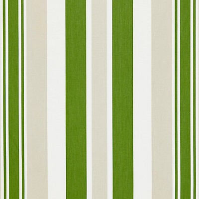 Scalamandre Mayfair Cotton Stripe Summer Lawn CHATHAM STRIPES & PLAIDS SC 000427112 Multipurpose COTTON COTTON Striped  Fabric