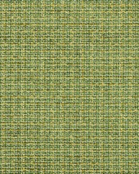 Highland Chenille Grass by   