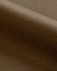 Katharine Coffee Bean by   